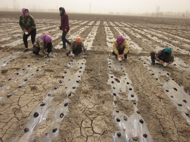 皇家马德里携手新人注册送58元体验金