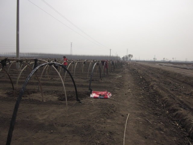 经过基地工作人员的严密监管