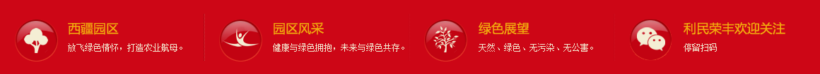 若从搜索引擎进入